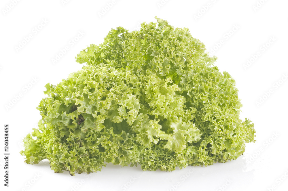Green lettuce on white Green lettuce on white