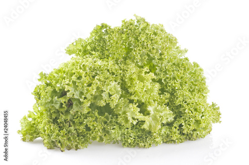 Green lettuce on white