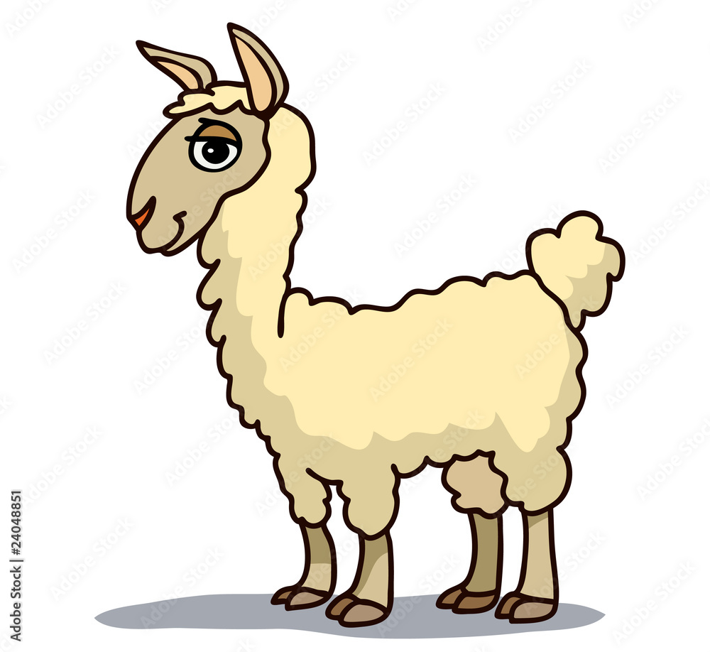 Llama Llama