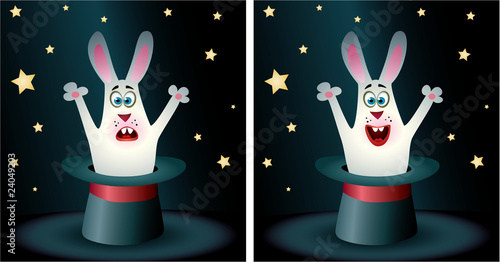 Rabbit