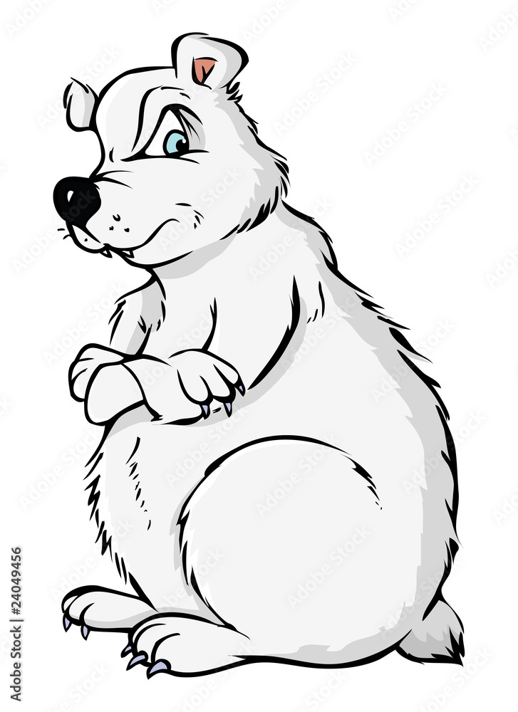 polar bear angry polar bear angry