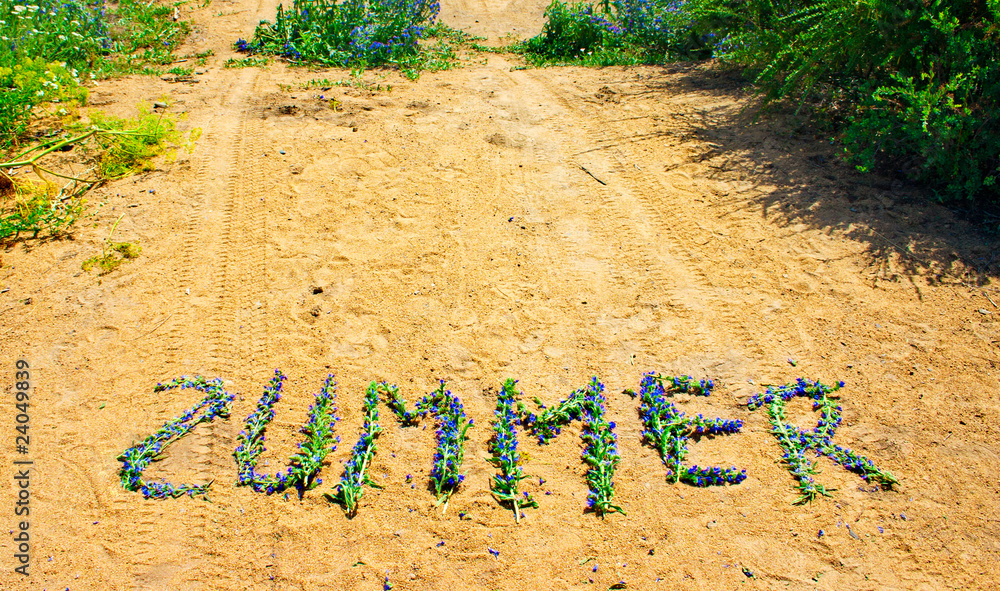 Obraz premium Flower summer