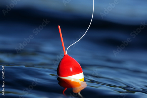 Cork Floating on Calm Lake © Mikael Damkier