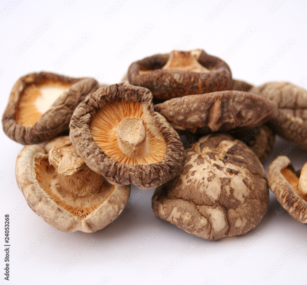 Shiitake Pilze Stock Photo Adobe Stock
