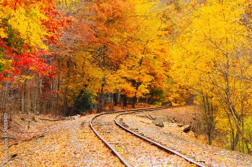 Old railroad curve in a vibrant autumn wood