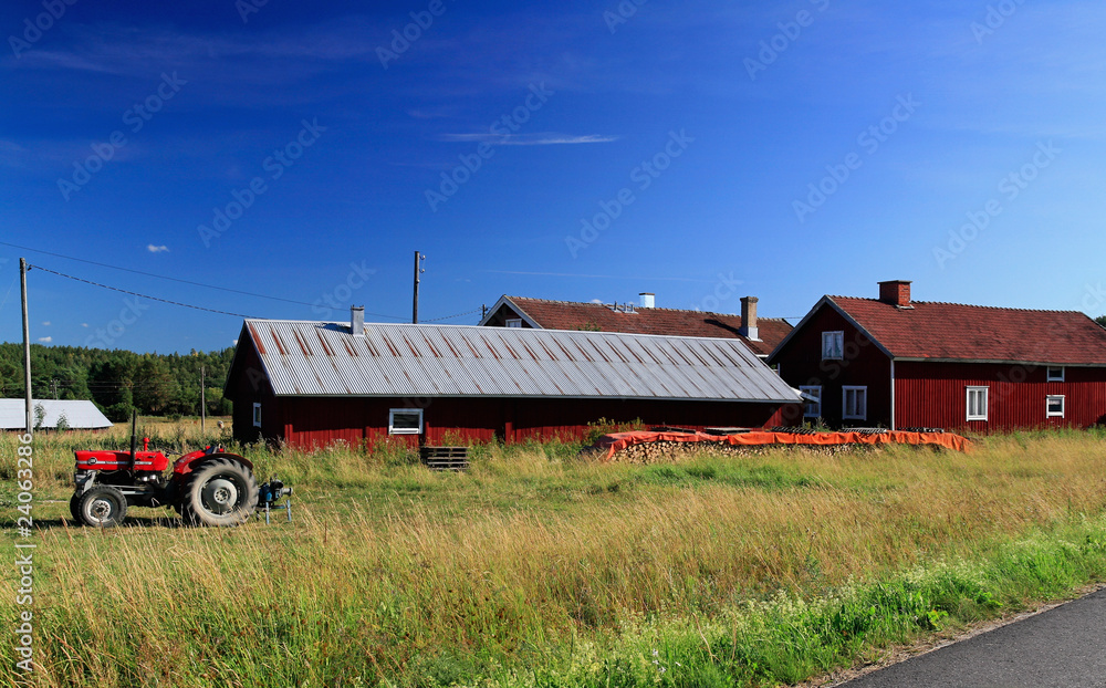 Fototapeta premium agriculture in Finland