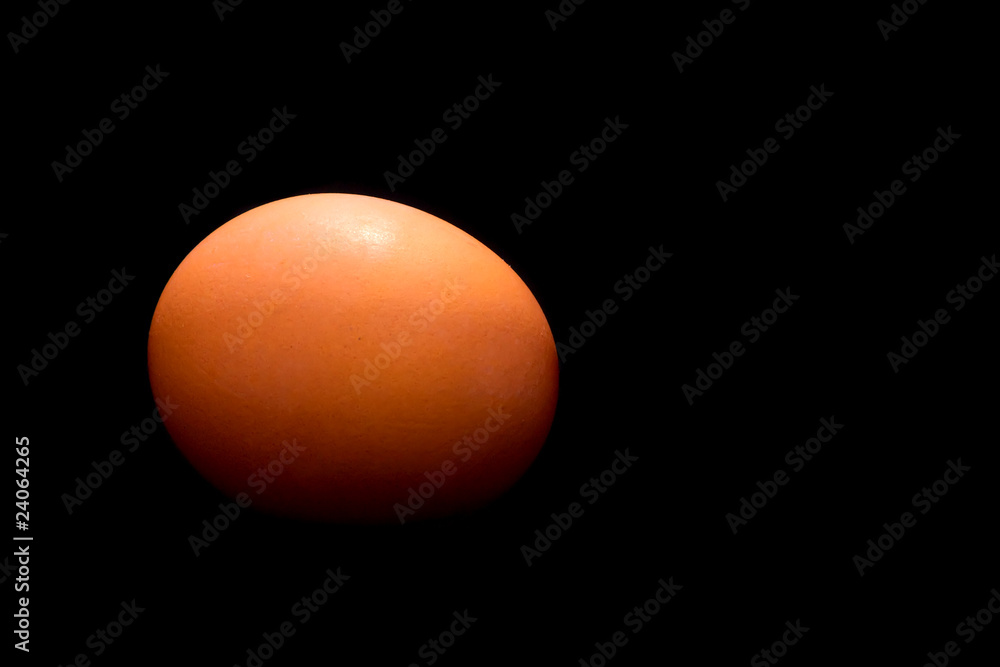 Egg Egg