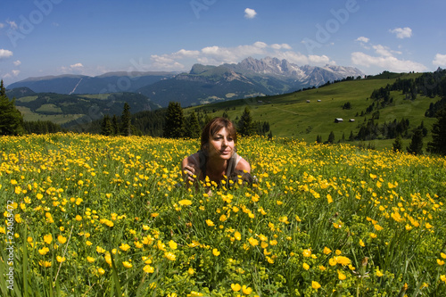 Campi fioriti sulle alpi delle Dolomiti