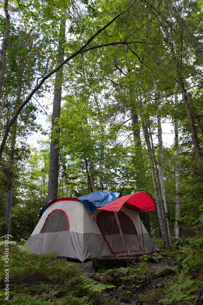 Forest Tent Camping Forest Tent Camping