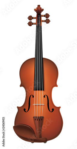 Violin