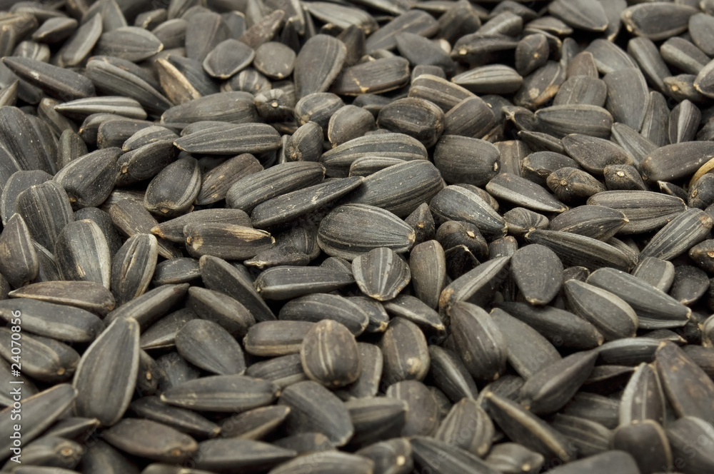Sunflower Seeds