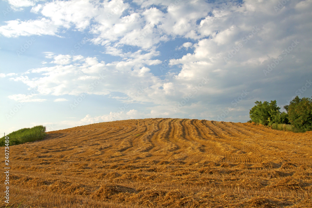 Obraz premium Hill
