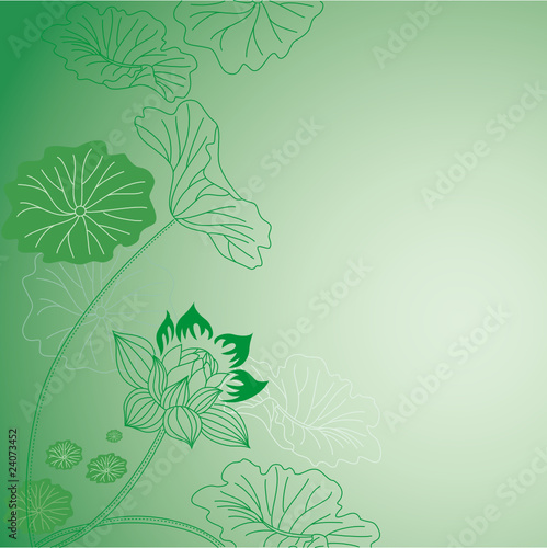 荷花