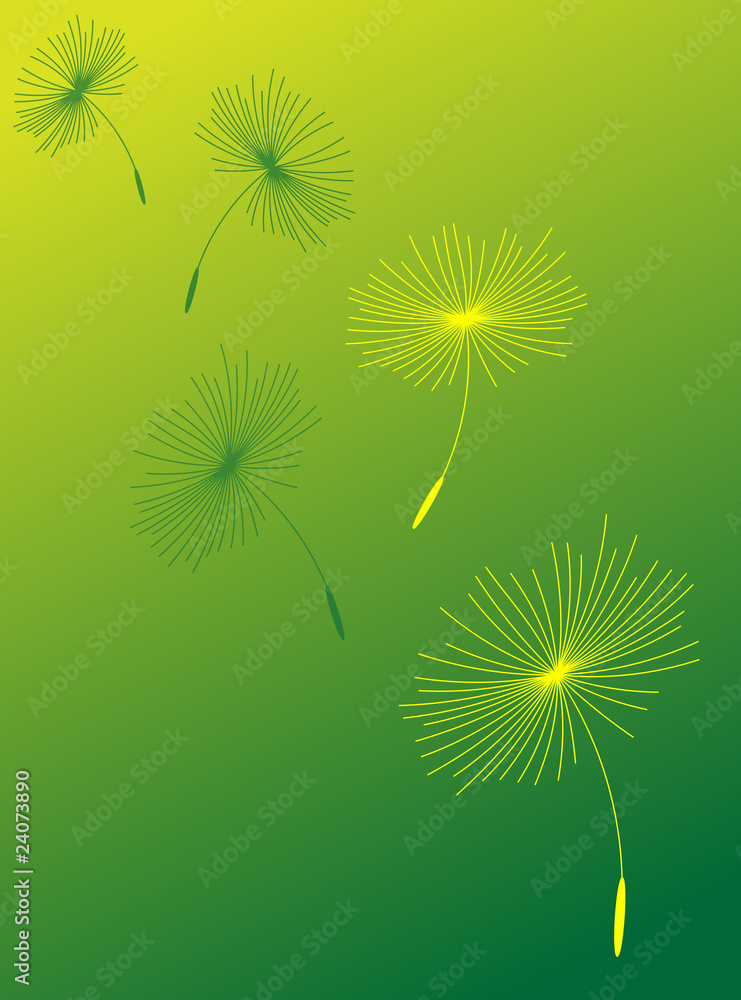 Obraz premium Dandelion