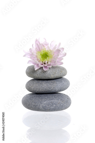 stack with pink daisy on white background