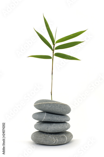 balanced stones with bamboo leaf