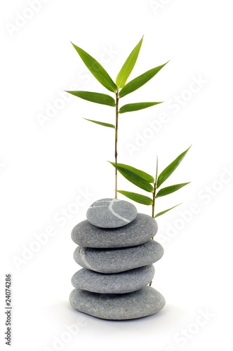 Stack of balanced stones with bamboo leaf