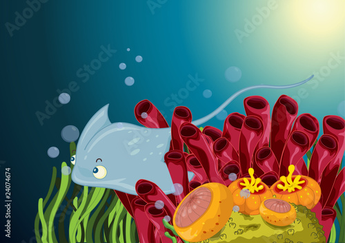 Hide and seek ray