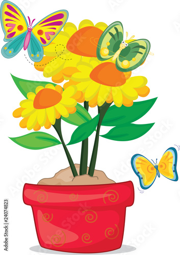 Three butterfly