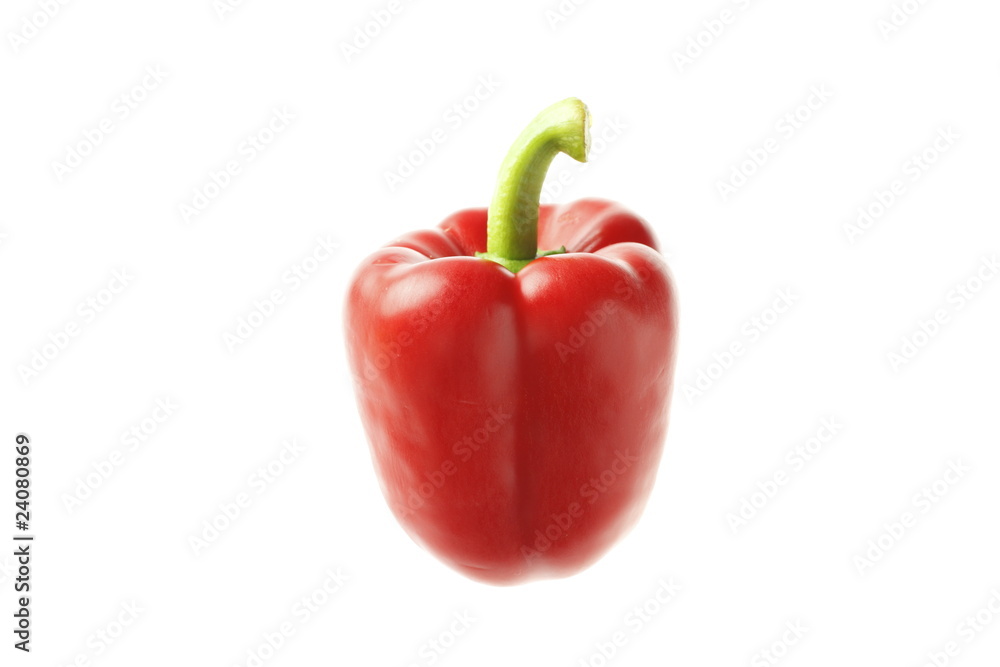 bell pepper bell pepper