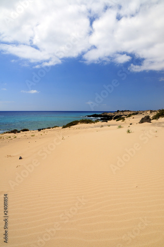 Playa vertical © igoraul