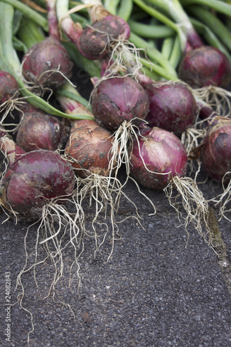 Red Baron Onions