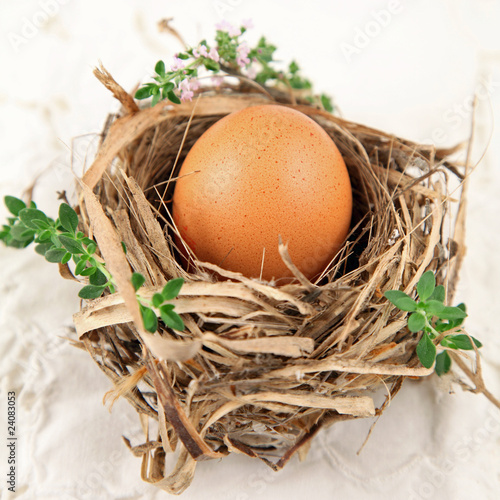 Oeuf fermier dans un nid