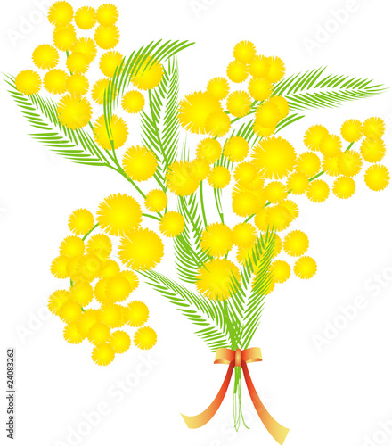 8 march happy women's day, yellow mimosa