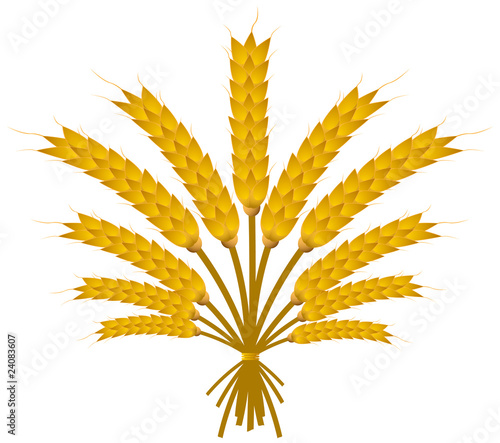 Wheat Bundle