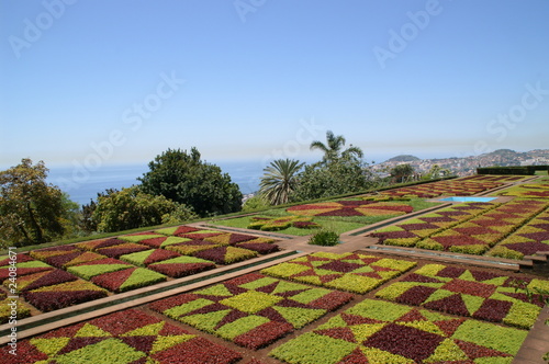 Botanischer Garten in Funchal photo