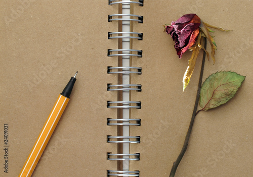 pen,notebook and deadrose photo