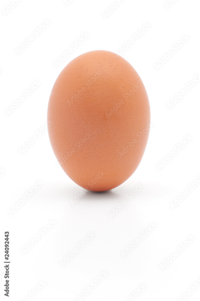 brown egg brown egg
