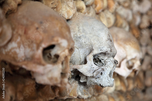 Human skulls in the wall © philipus