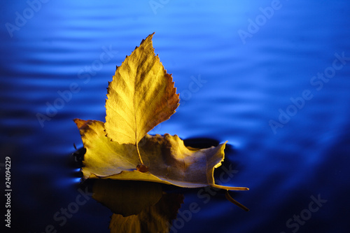little boat make from yellow leaf
