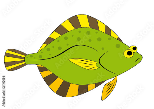 flounder