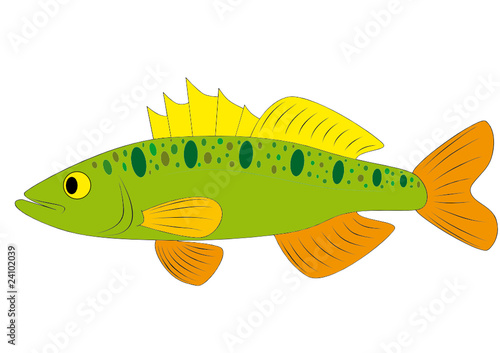 perch