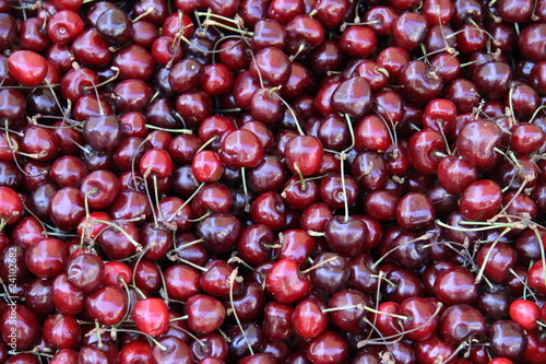 dunkle rote kirschen