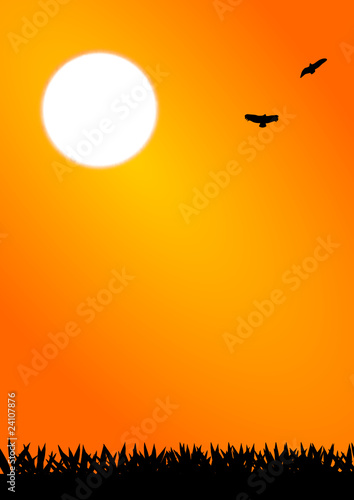 sun