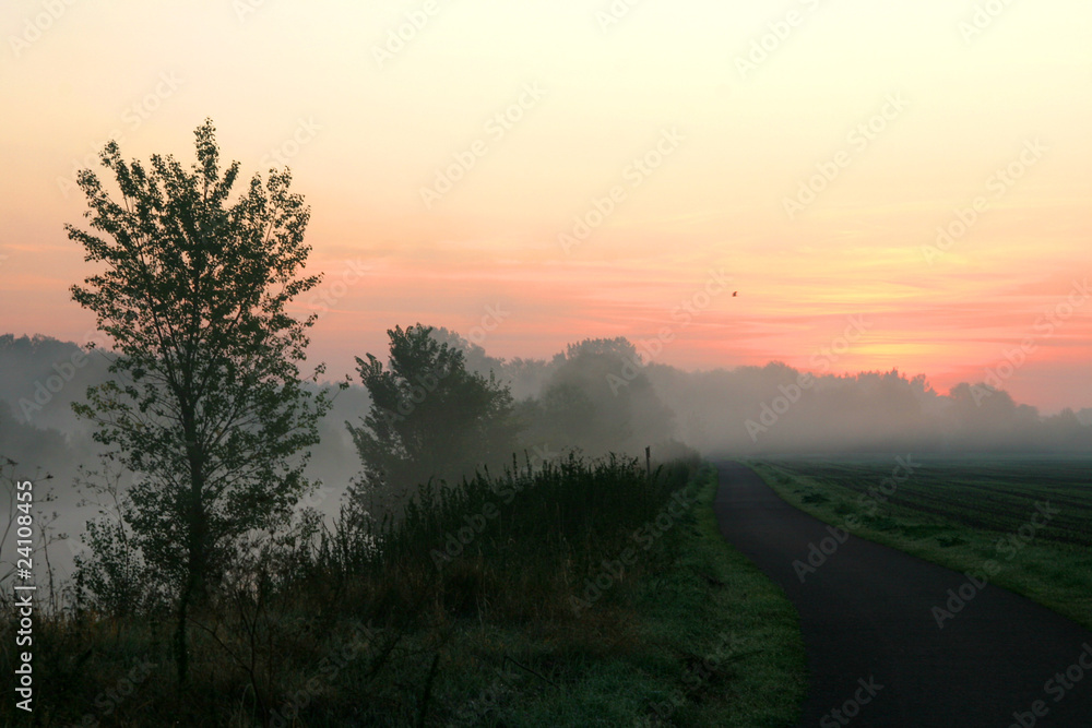 Nebelstimmung an der Saale