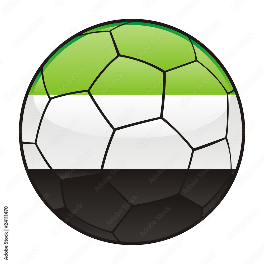 Fototapeta premium vector illustration of Afghanistan flag on soccer ball
