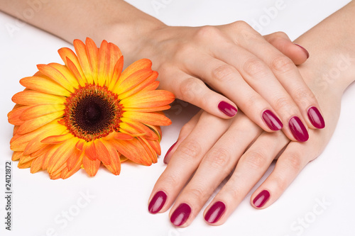 Pink manicure and bright orange flower