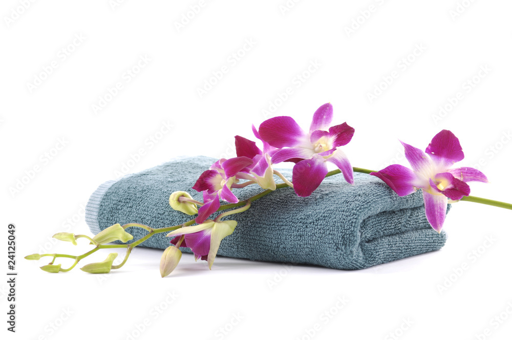 Beautiful pink orchid with blue towel Beautiful pink orchid with blue towel