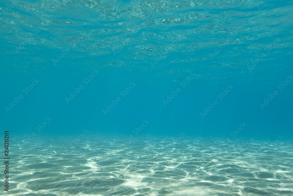 Sunlight reflecting on a the bottom of a shallow underwater bay.