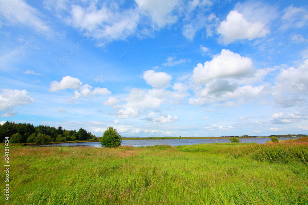 Fototapeta premium Scottish Summer landscape