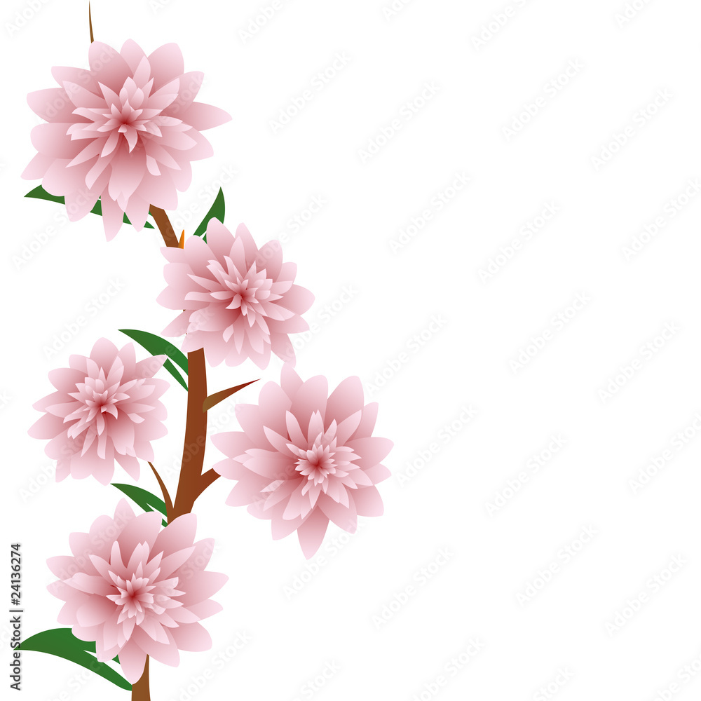 Pink flowers Pink flowers
