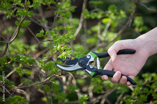 Gartenarbeit