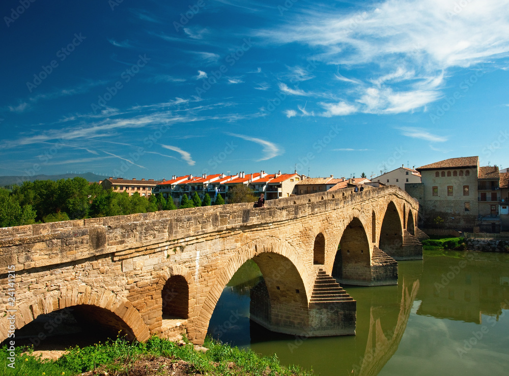 Old bridge in Navarra