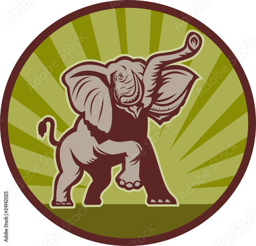 african elephant charging attacking