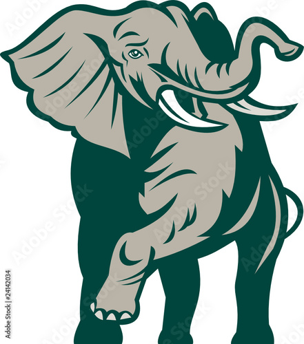 african elephant charging attacking