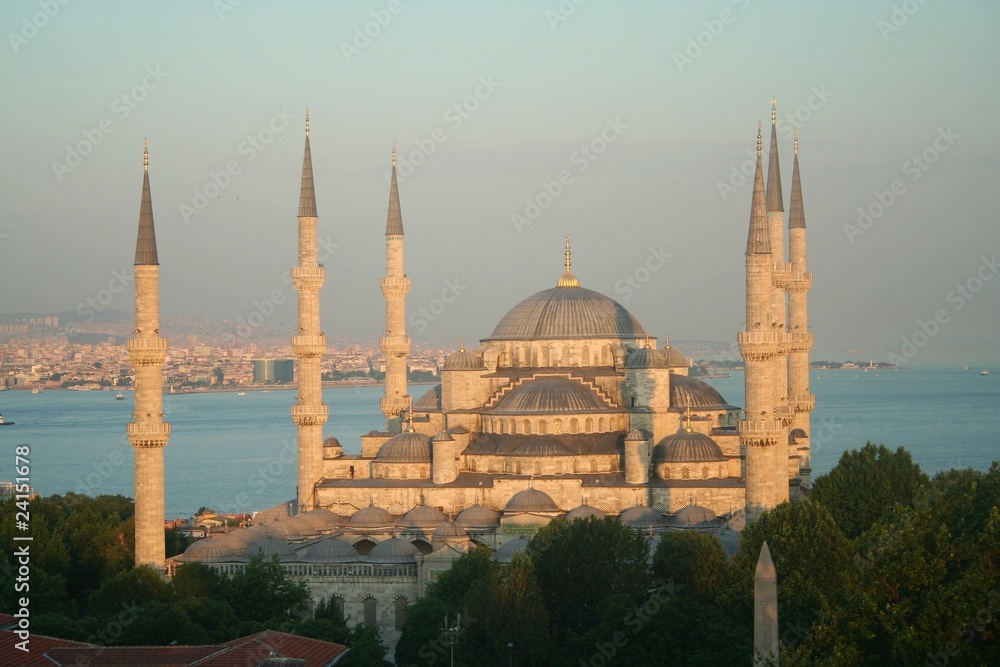Obraz premium Sultanahmet Mosque